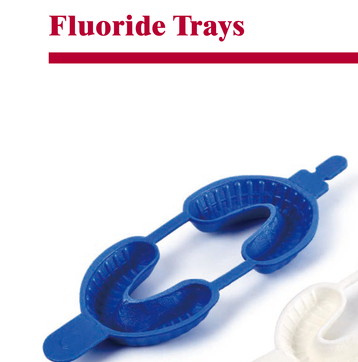 Alligator X-Ray Film Holder - Straight